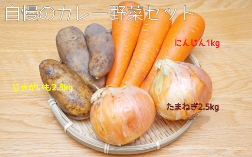 ［先行受付］自慢のカレー野菜セット【A63】
