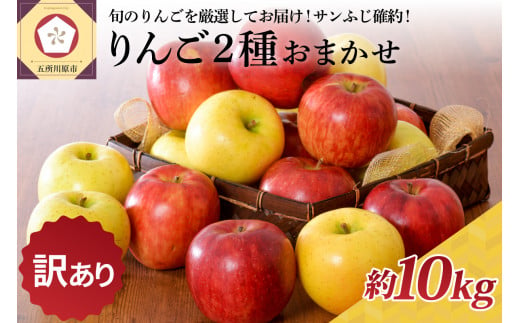 [選べる配送時期][訳あり]りんご 約10kg サンふじ確約 青森産 品種おまかせ2種以上