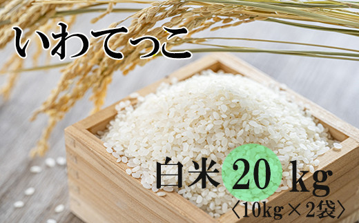 お米 ２０キロ 白米 いわてっこ - 米/穀物
