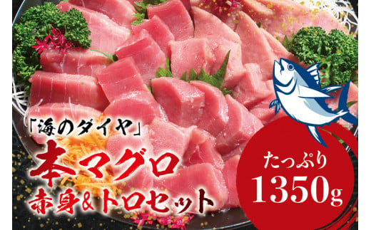 本マグロ 養殖 トロ 赤身セット 1350g まぐろ 刺身 鮪 本鮪 クロマグロ 赤身 中とろ 大トロ 大容量 和歌山県太地町 ふるさと納税 ふるさとチョイス