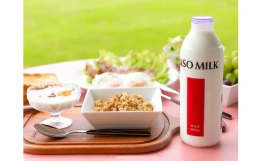 至福の朝食セット かけるだけで簡単 グラノーラにぴったり Milkとドライフルーツのセット 阿部牧場の牛乳800ml ドライフルーツ3袋 熊本県阿蘇市 ふるさと納税 ふるさとチョイス