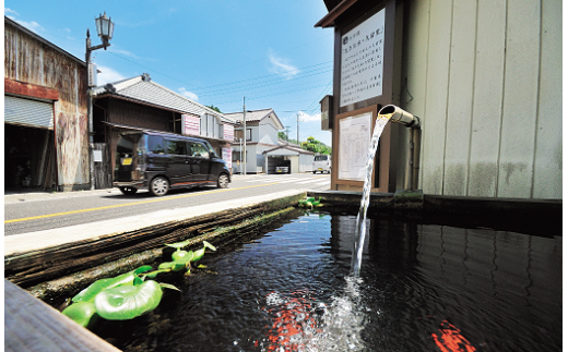 君津市の次世代に伝えたい20世紀遺産に指定されるとともに、平成20年6月には千葉県下で唯一「平成の名水百選」に選ばれています。