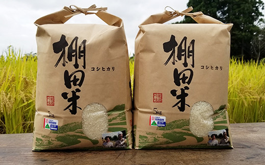 【令和3年産】米沢米棚田米 コシヒカリ 10kg 〔5kg×2袋〕2021年産 特別栽培米 農家直送