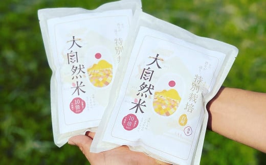 福岡県香春町産 夢つくし 大自然米 無洗米 計900g(450g×2個)