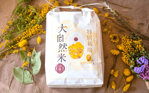 福岡県香春町産 夢つくし 大自然米 無洗米 計10kg（5kg×2個）