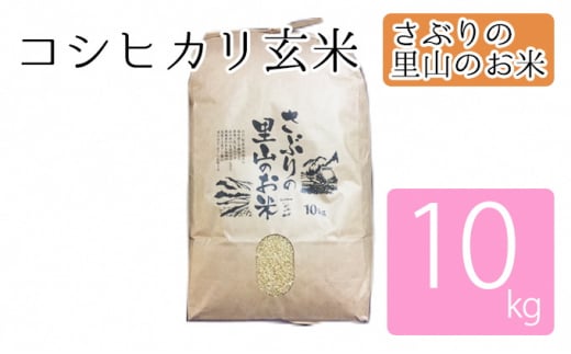 [№5822-0224]さぶりの里山のお米　コシヒカリ玄米　10kg