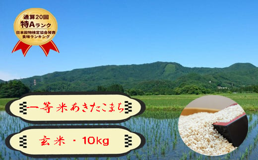 5660 1003 農家直送 秋田県 仙北市産米 令和4年産 あきたこまち 秋田県産 玄米 10kg 秋田県仙北市 ふるさとチョイス ふるさと納税サイト