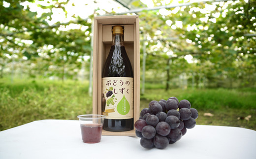 おすすめ ぶどうのふるさと納税を探す ふるさとチョイス