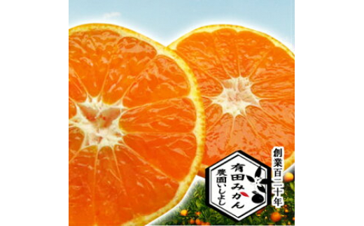 【11月発送】有田みかん【創業120年農家直送】 5kg 小玉・小粒サイズ (お届け時期お選びいただけます)小さくて甘い小玉みかん 652935 - 和歌山県広川町