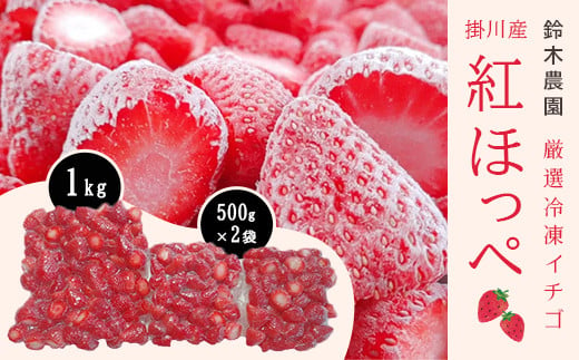 １５０２　静岡県掛川市産　冷凍イチゴ　果肉も真っ赤な　紅ほっぺ　２ｋｇ(１ｋｇ×１袋・５００ｇ×２袋)　鈴木農園　(イチゴ・苺・いちご）