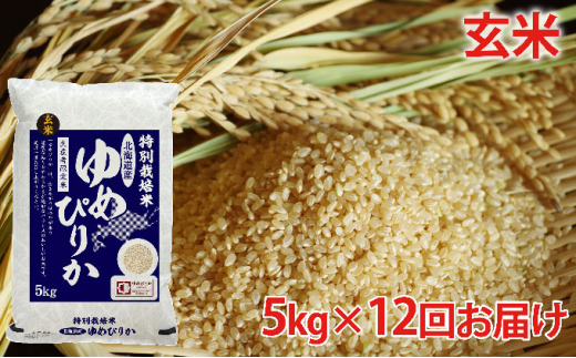 [№5665-0702]玄米　北海道赤平産ゆめぴりか特別栽培米5kg×12回お届け