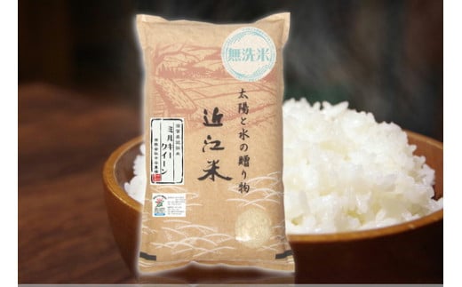 【令和4年産】近江米 環境こだわり栽培 ミルキークイーン 無洗米 【10kg×1】【BN07SM1】