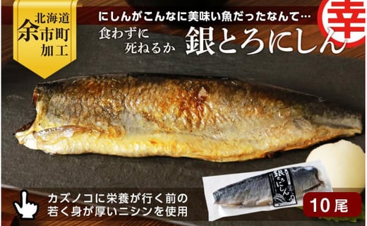 にしんがこんなに美味い魚だったなんて 食わずに死ねるか 銀とろにしん 北海道余市町 ふるさとチョイス ふるさと納税サイト