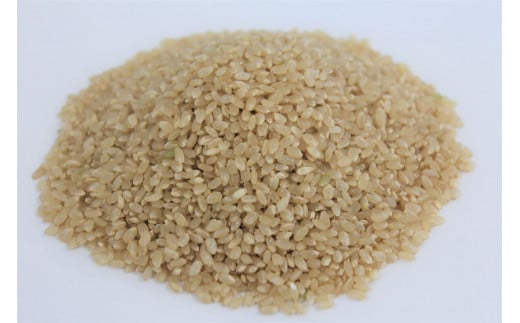 米/穀物30年千葉県産新米コシヒカリ玄米20㎏ - 米/穀物