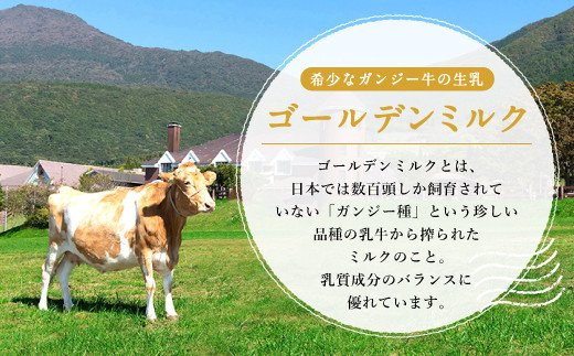 【ガンジー牧場】 牧場の バター 125g×2個 計250g ガンジー牛乳使用 無添加 ゴールデンミルク