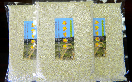 善通寺市産二条もち麦「キラリモチ｣ ２kg - 香川県善通寺市｜ふるさと