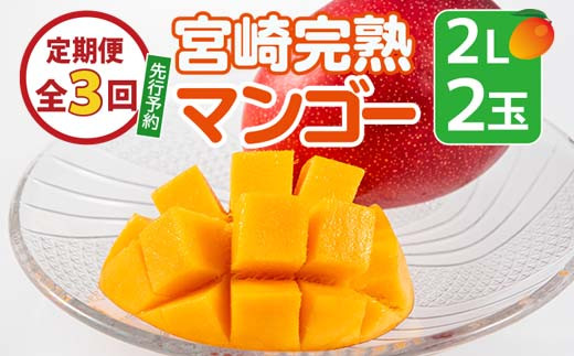 先行予約!定期便全3回!宮崎完熟マンゴー2L×2玉!