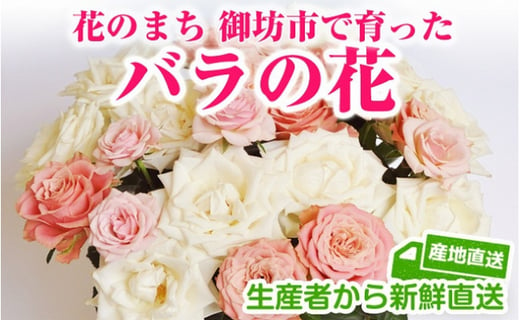 バラの花 約本 花のまち御坊産の薔薇 新鮮直送 和歌山県御坊市 ふるさと納税 ふるさとチョイス