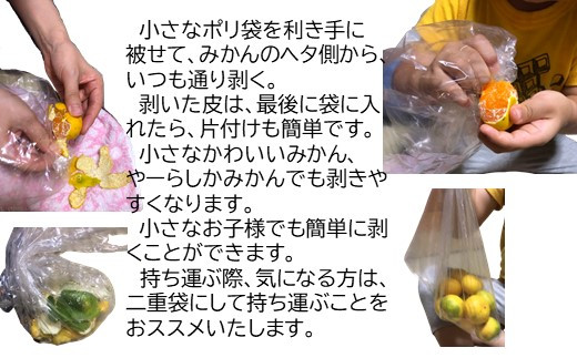 A 60 やーらしか 鹿島産みかん 約6 5kg 小粒サイズ 佐賀県鹿島市 ふるさと納税 ふるさとチョイス