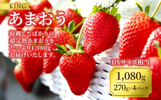 摘みたて 完熟 King あまおう 計1 080g 270g 4パック Dxサイズ相当 苺 いちご 福岡県岡垣町 ふるさと納税 ふるさとチョイス