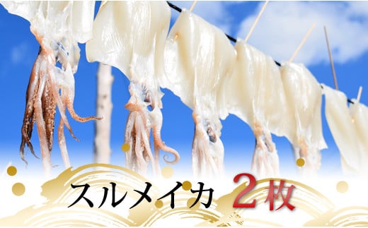 スルメイカの一日干し 2枚 789816 - 高知県大月町