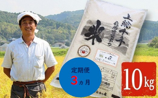 【定期便・3ヶ月】上総千年米 コシヒカリ （精米） 10㎏ プレミアムなお米 千葉エコ栽培