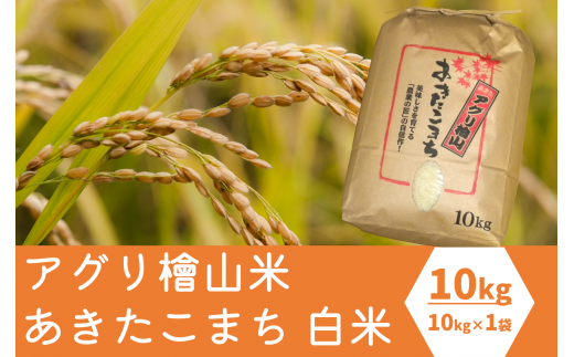 令和3年産新米 アグリ檜山米 あきたこまち 白米 １０ｋｇ 秋田県能代市 ふるさと納税 ふるさとチョイス