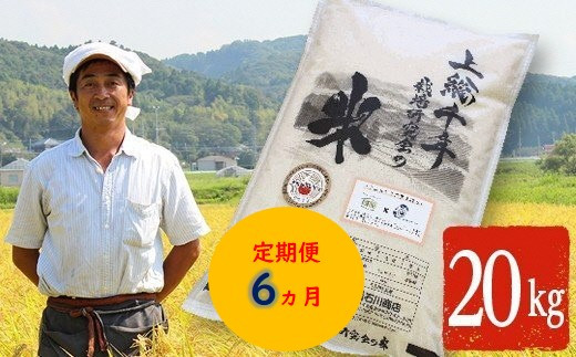 【定期便・6ヶ月】上総千年米 コシヒカリ （精米） 20㎏ プレミアムなお米 千葉エコ栽培