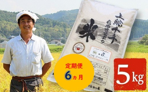 【定期便・6ヶ月】上総千年米 コシヒカリ （精米）5㎏ プレミアムなお米 千葉エコ栽培