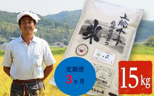 【定期便・3ヶ月】上総千年米 コシヒカリ （精米） 15㎏ プレミアムなお米 千葉エコ栽培