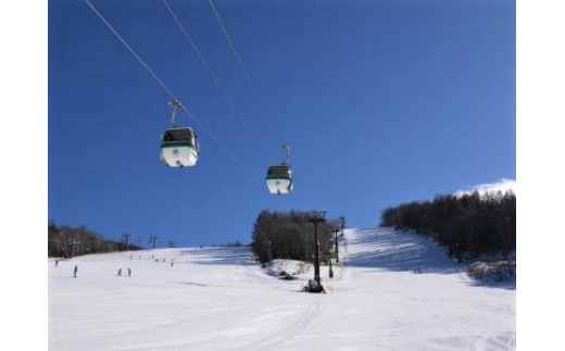 白樺高原国際スキー場  しらかば2in1スキー場 共通リフト引換券 2枚セット