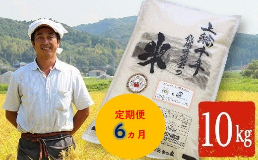 【定期便・6ヶ月】上総千年米 コシヒカリ （精米） 10㎏ プレミアムなお米 千葉エコ栽培