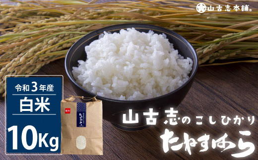 G3-06旧山古志村のこしひかり「たねすはら米」白米10Kg（新潟県産コシヒカリ） - 新潟県長岡市 | ふるさと納税 [ふるさとチョイス]
