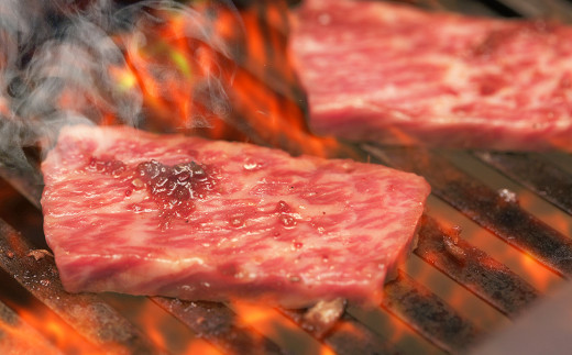 【定期便6回】熊本県産 和牛 肥後のあか牛 焼肉用 500g 計3kg 牛肉