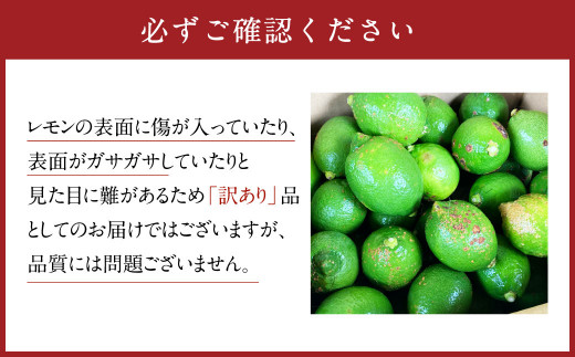 【訳あり】国産レモン 1.5kg (県認証特別栽培)