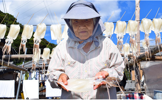 極厚スルメイカの一日干し 4枚