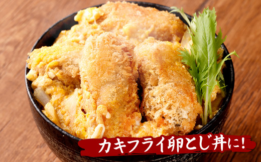 特大ぷっくり カキフライ 牡蠣 海産物 魚介類 かき 40gｘ20 合計800g