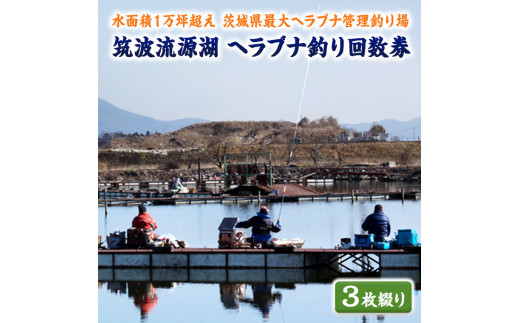 筑波流源湖ヘラブナ釣り回数券 ３枚綴り Az002ya 茨城県八千代町 ふるさと納税 ふるさとチョイス