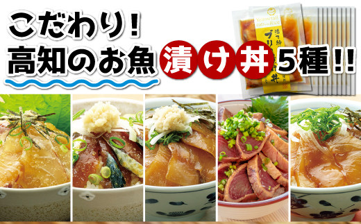 こだわり 高知のお魚づけ丼５種類セット Mm007 高知県須崎市 ふるさと納税 ふるさとチョイス