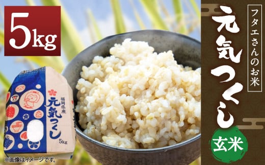 フタエさんのお米 元気つくし 5kg 玄米 うるち米 ダイエット 279536 - 福岡県筑後市
