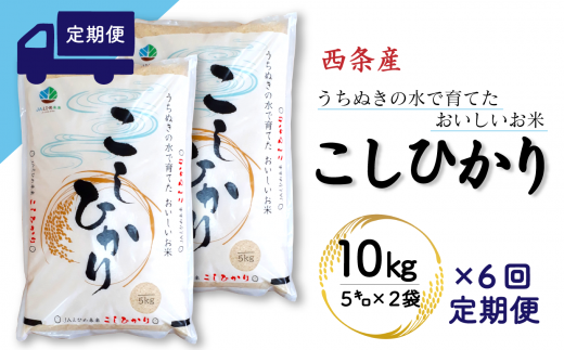 【定期便6ヶ月】西条産のお米「コシヒカリ」（10kg） 令和5年産 280478 - 愛媛県西条市