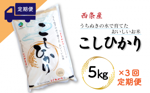 【定期便3ヶ月】西条産のお米「コシヒカリ」（5kg） 令和5年産 280475 - 愛媛県西条市