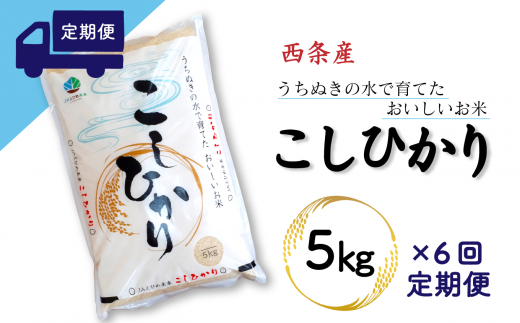 【定期便6ヶ月】西条産のお米「コシヒカリ」（5kg） 令和5年産 280477 - 愛媛県西条市