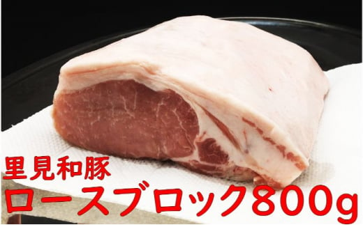 房総ブランド豚　里見和豚　とんかつ用ロースブロック800g×1　真空パック　白色トレイ不使用 mi0017-0013-1 206569 - 千葉県南房総市