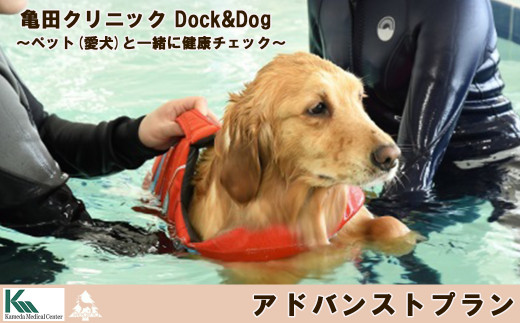 ペット(愛犬)と一緒に健康チェック!人間ドックと宿泊をパッケージにした1泊2日。