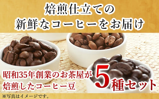 自家焙煎コ－ヒ－豆 5種類のコーヒ－セット(豆) 清香園茶舗 モカマタリ