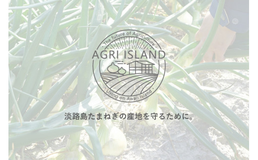 【アグリアイランド】【新玉予約】淡路島新たまねぎアグリ玉8kg