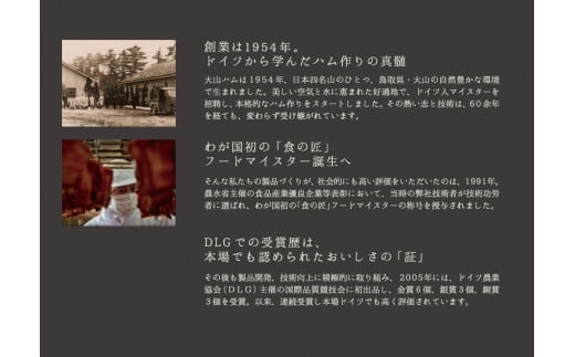 鳥取県米子市のふるさと納税 〈大山ハム〉ハム・ソーセージ7種8品詰め合わせ（CN-10）