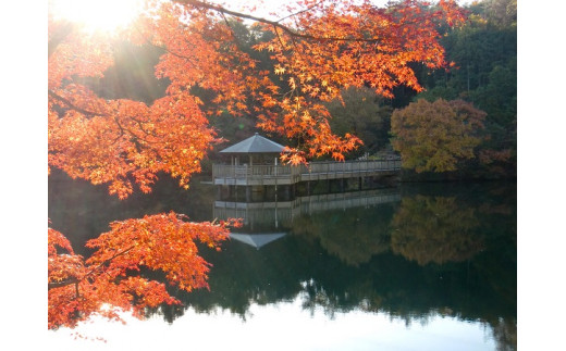 秋の大正池