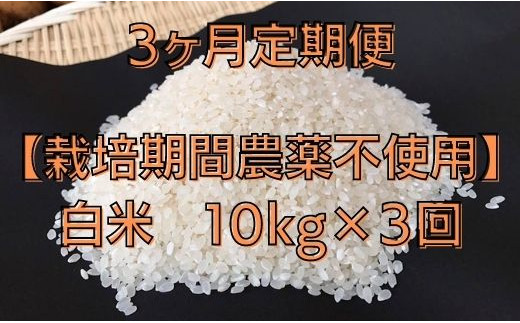 BI-67 3ヶ月定期便【栽培期間農薬不使用】白米　10kg×3回